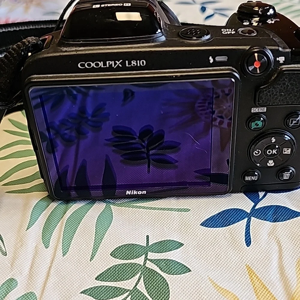 Nikon Coolpix L810 Compact Camera